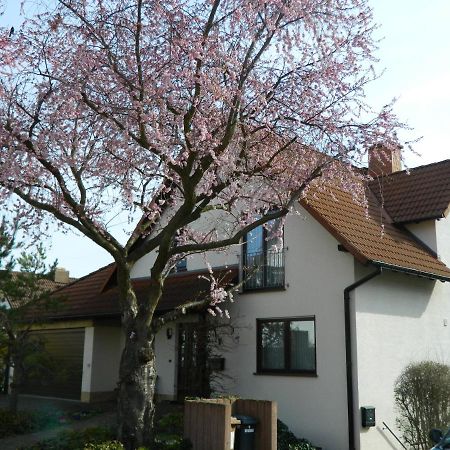 Ferienwohnung Kiko Zornheim Экстерьер фото