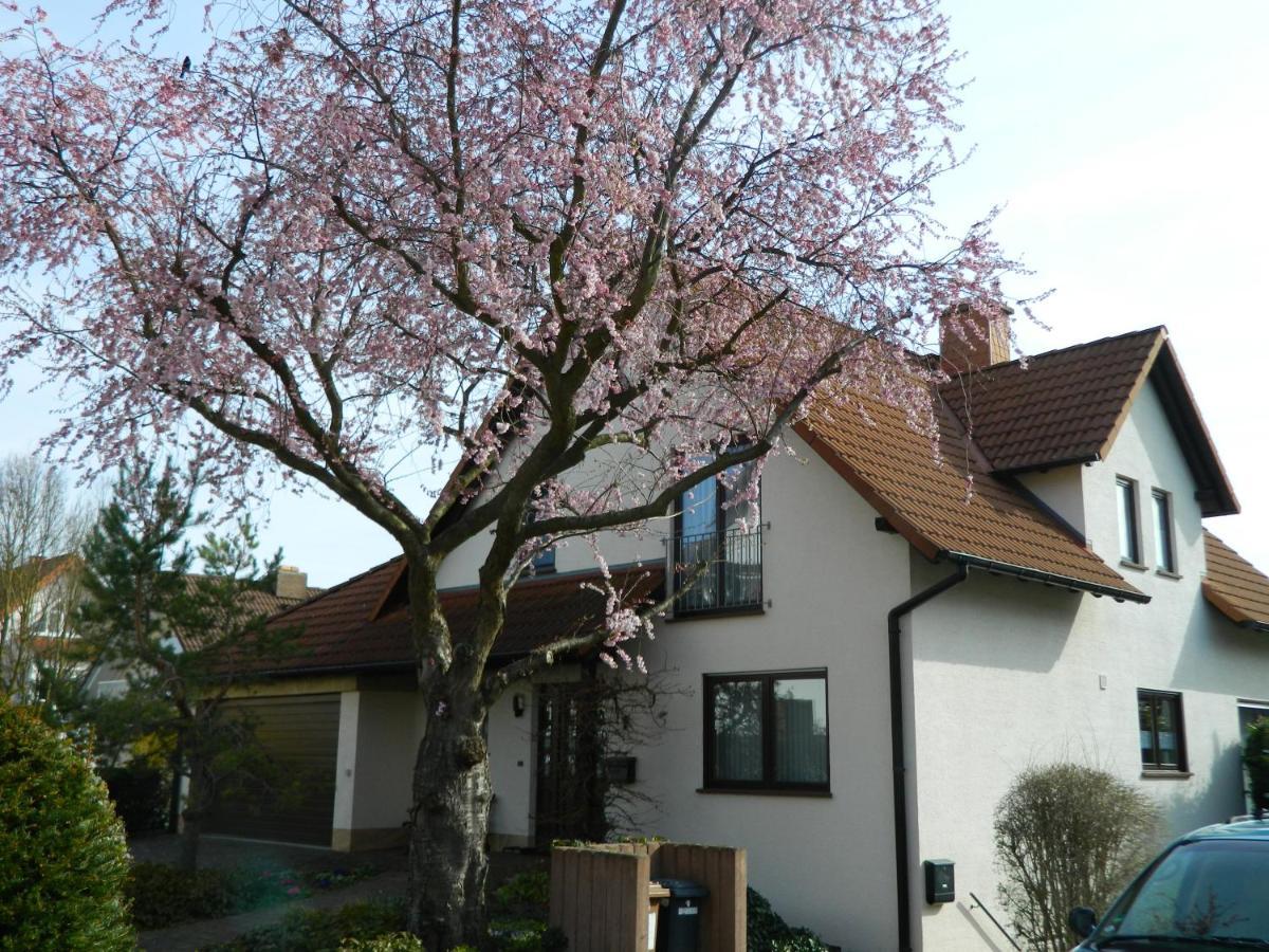 Ferienwohnung Kiko Zornheim Экстерьер фото